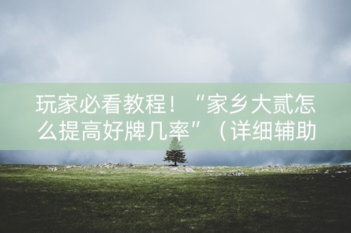 玩家必看教程！“家乡大贰怎么提高好牌几率”（详细辅助教程）-哔哩哔哩