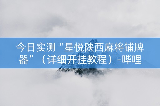 今日实测“星悦陕西麻将铺牌器”（详细开挂教程）-哔哩哔哩