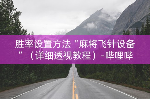 胜率设置方法“麻将飞针设备”（详细透视教程）-哔哩哔哩