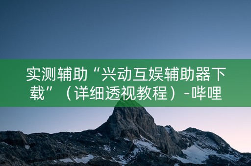 实测辅助“兴动互娱辅助器下载”（详细透视教程）-哔哩哔哩