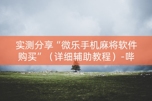 实测分享“微乐手机麻将软件购买”（详细辅助教程）-哔哩哔哩