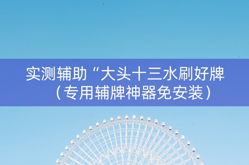 实测辅助“大头十三水刷好牌（专用辅牌神器免安装）