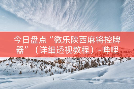 今日盘点“微乐陕西麻将控牌器”（详细透视教程）-哔哩哔哩