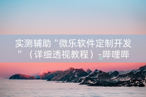 实测辅助“微乐软件定制开发”（详细透视教程）-哔哩哔哩