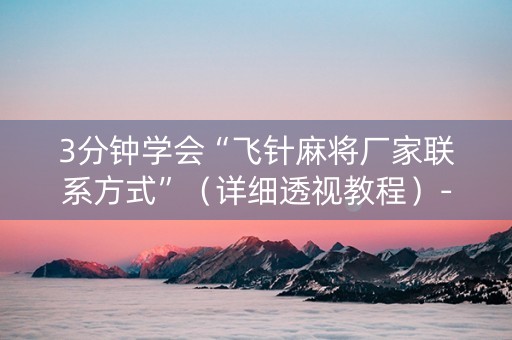 3分钟学会“飞针麻将厂家联系方式”（详细透视教程）-哔哩哔哩