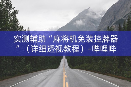 实测辅助“麻将机免装控牌器”（详细透视教程）-哔哩哔哩