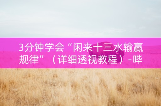 3分钟学会“闲来十三水输赢规律”（详细透视教程）-哔哩哔哩