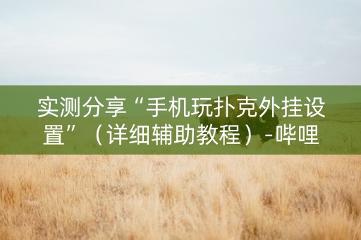 实测分享“手机玩扑克外挂设置”（详细辅助教程）-哔哩哔哩