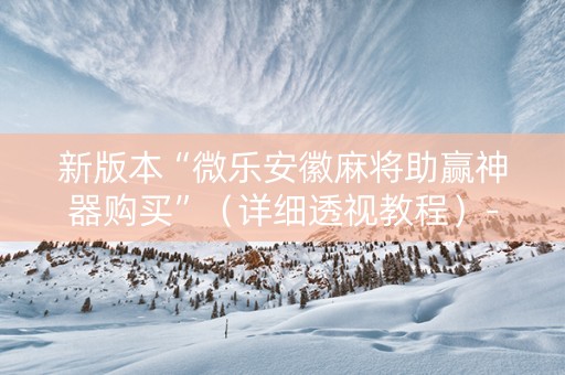 新版本“微乐安徽麻将助赢神器购买”（详细透视教程）-哔哩哔哩