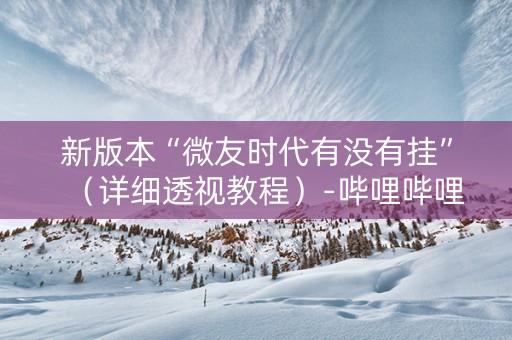 新版本“微友时代有没有挂”（详细透视教程）-哔哩哔哩
