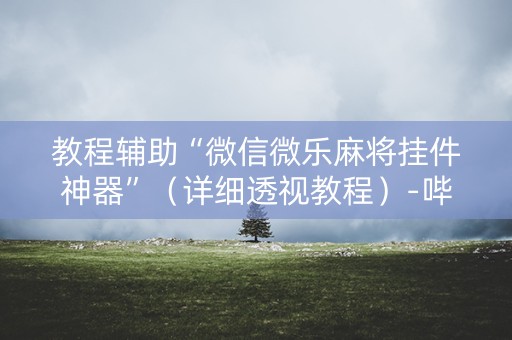教程辅助“微信微乐麻将挂件神器”（详细透视教程）-哔哩哔哩