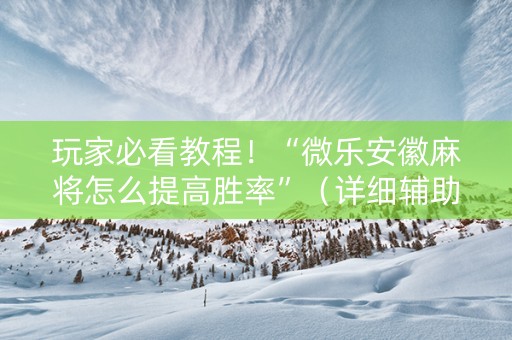 玩家必看教程！“微乐安徽麻将怎么提高胜率”（详细辅助教程）-哔哩哔哩