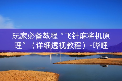 玩家必备教程“飞针麻将机原理”（详细透视教程）-哔哩哔哩
