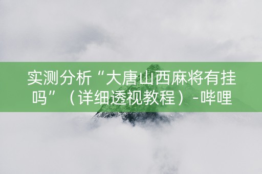 实测分析“大唐山西麻将有挂吗”（详细透视教程）-哔哩哔哩