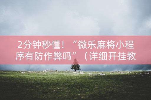 2分钟秒懂！“微乐麻将小程序有防作弊吗”（详细开挂教程）-哔哩哔哩