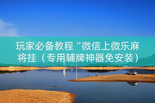 玩家必备教程“微信上微乐麻将挂（专用辅牌神器免安装）