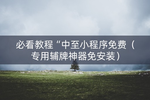 必看教程“中至小程序免费（专用辅牌神器免安装）