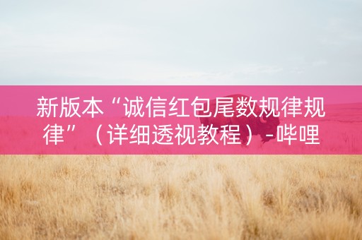 新版本“诚信红包尾数规律规律”（详细透视教程）-哔哩哔哩