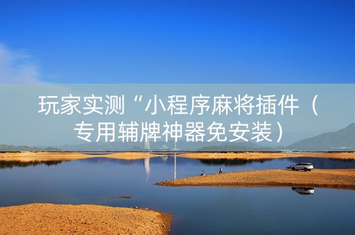 玩家实测“小程序麻将插件（专用辅牌神器免安装）