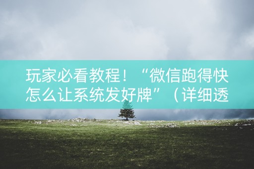 玩家必看教程！“微信跑得快怎么让系统发好牌”（详细透视教程）-哔哩哔哩