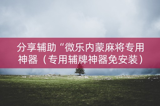 分享辅助“微乐内蒙麻将专用神器（专用辅牌神器免安装）