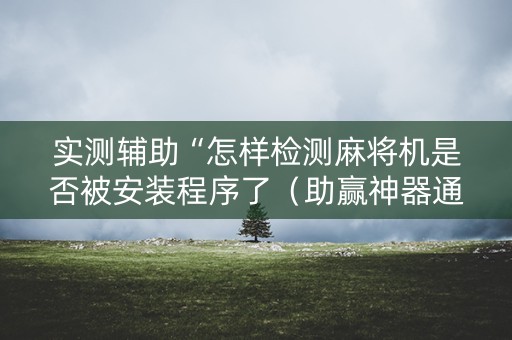 实测辅助“怎样检测麻将机是否被安装程序了（助赢神器通用版）