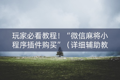 玩家必看教程！“微信麻将小程序插件购买”（详细辅助教程）-哔哩哔哩