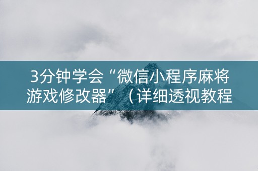 3分钟学会“微信小程序麻将游戏修改器”（详细透视教程）-哔哩哔哩