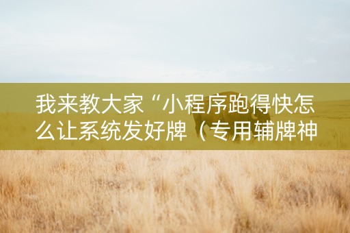 我来教大家“小程序跑得快怎么让系统发好牌（专用辅牌神器免安装）