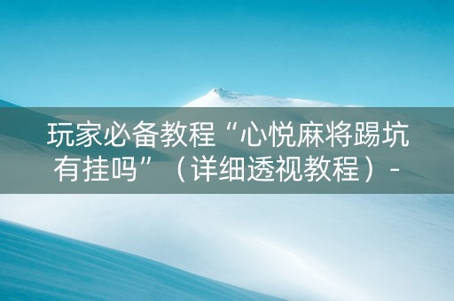 玩家必备教程“心悦麻将踢坑有挂吗”（详细透视教程）-哔哩哔哩