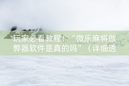 玩家必看教程！“微乐麻将做弊器软件是真的吗”（详细透视教程）-哔哩哔哩