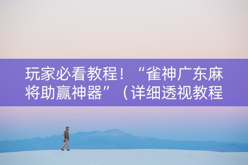 玩家必看教程！“雀神广东麻将助赢神器”（详细透视教程）-哔哩哔哩