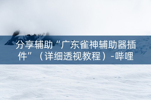 分享辅助“广东雀神辅助器插件”（详细透视教程）-哔哩哔哩