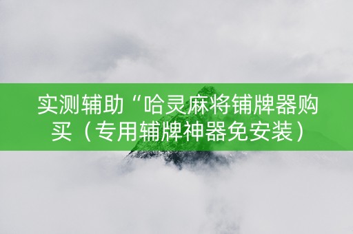 实测辅助“哈灵麻将铺牌器购买（专用辅牌神器免安装）