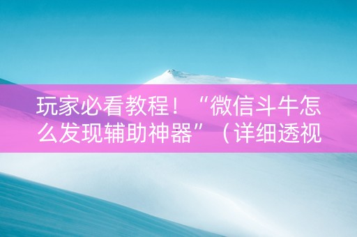 玩家必看教程！“微信斗牛怎么发现辅助神器”（详细透视教程）-哔哩哔哩