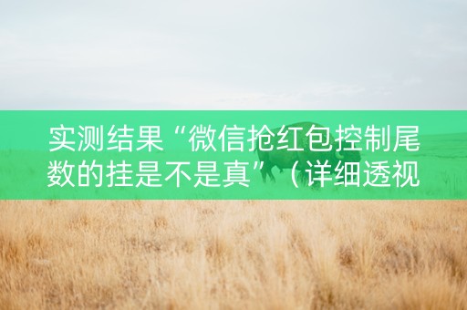 实测结果“微信抢红包控制尾数的挂是不是真”（详细透视教程）-哔哩哔哩
