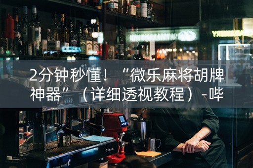 2分钟秒懂！“微乐麻将胡牌神器”（详细透视教程）-哔哩哔哩