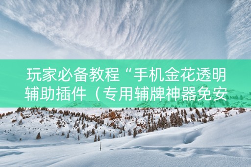 玩家必备教程“手机金花透明辅助插件（专用辅牌神器免安装）