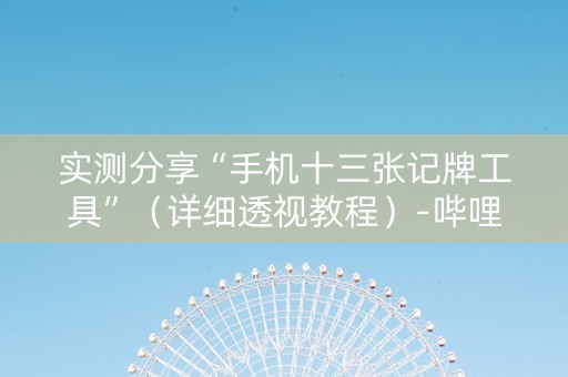 实测分享“手机十三张记牌工具”（详细透视教程）-哔哩哔哩