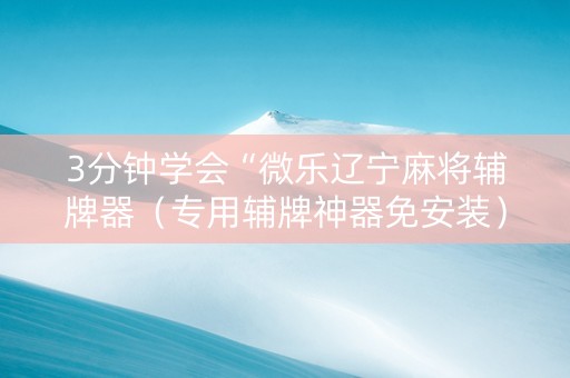 3分钟学会“微乐辽宁麻将辅牌器（专用辅牌神器免安装）