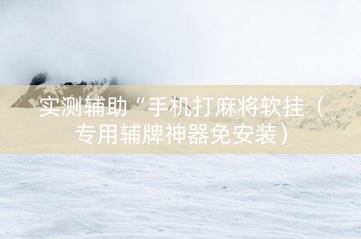 实测辅助“手机打麻将软挂（专用辅牌神器免安装）