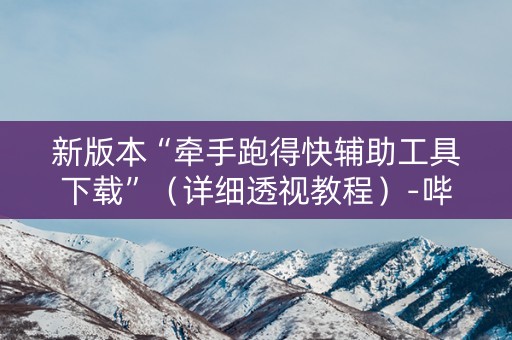 新版本“牵手跑得快辅助工具下载”（详细透视教程）-哔哩哔哩
