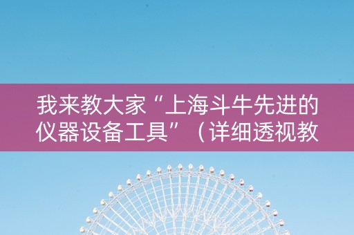 我来教大家“上海斗牛先进的仪器设备工具”（详细透视教程）-哔哩哔哩
