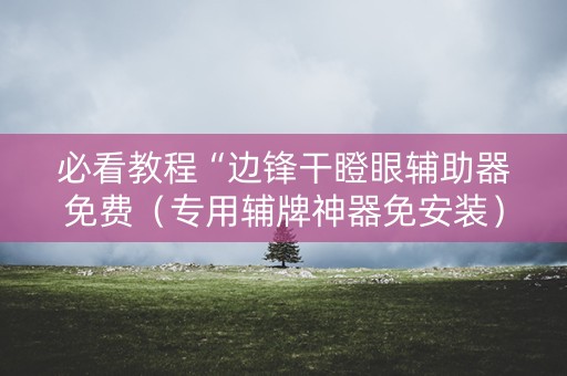 必看教程“边锋干瞪眼辅助器免费（专用辅牌神器免安装）