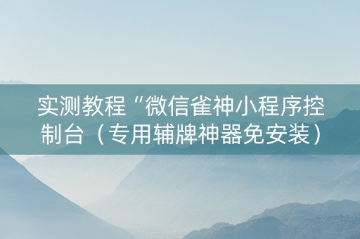 实测教程“微信雀神小程序控制台（专用辅牌神器免安装）