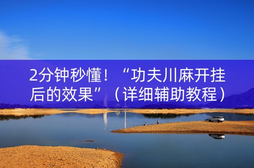 2分钟秒懂！“功夫川麻开挂后的效果”（详细辅助教程）-哔哩哔哩
