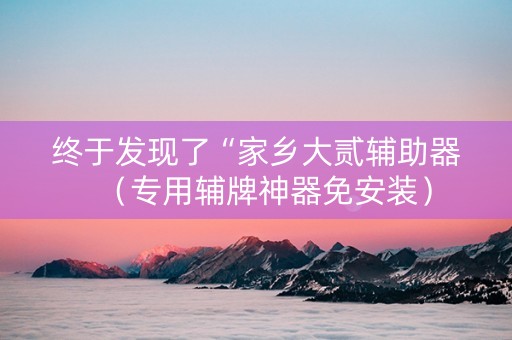 终于发现了“家乡大贰辅助器（专用辅牌神器免安装）