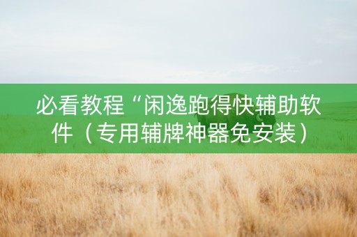 必看教程“闲逸跑得快辅助软件（专用辅牌神器免安装）