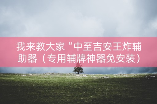 我来教大家“中至吉安王炸辅助器（专用辅牌神器免安装）
