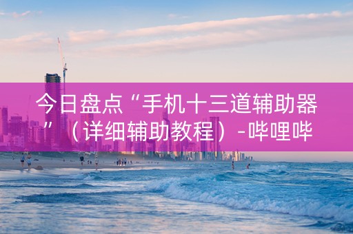 今日盘点“手机十三道辅助器”（详细辅助教程）-哔哩哔哩